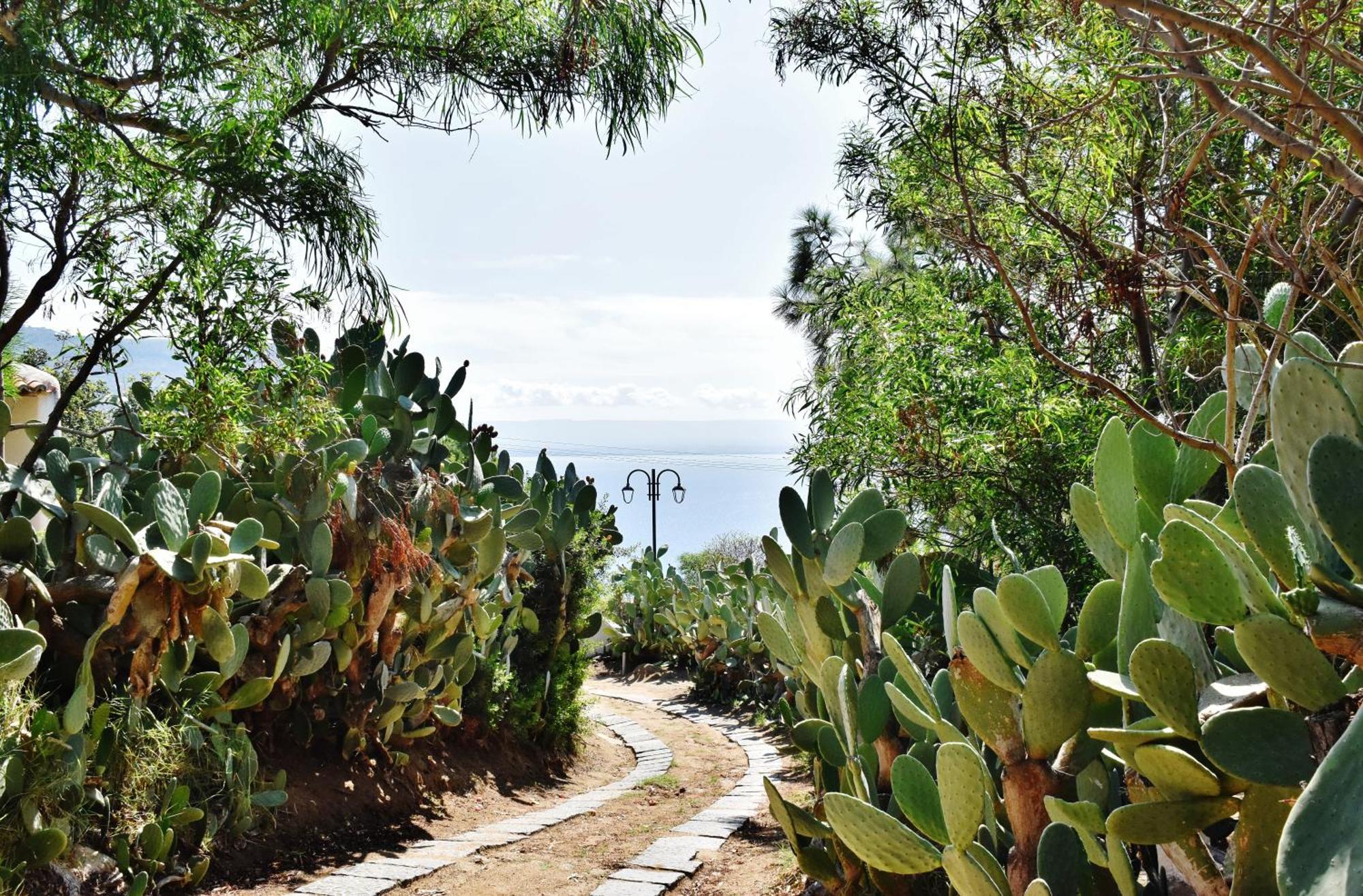 Calabria Beach Villa'S Capo Vaticano Exteriör bild